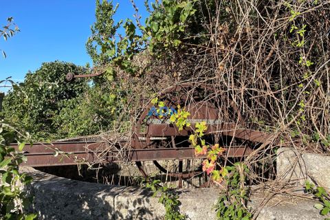Terra a Alcains, Castelo Branco, Alcains - € 160.000 | Ref: 125126 - foto 15