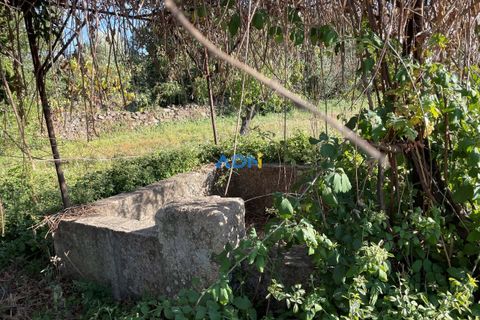 Terra a Alcains, Castelo Branco, Alcains - € 160.000 | Ref: 125126 - foto 16