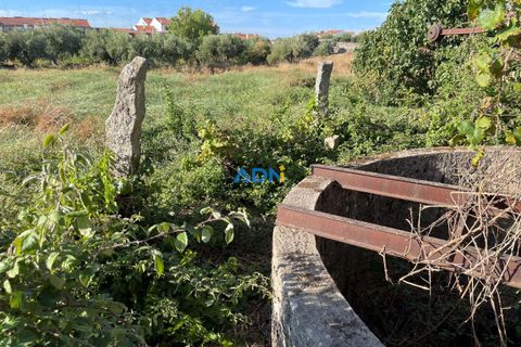 Terra a Alcains, Castelo Branco, Alcains - € 160.000 | Ref: 125126 - foto 18