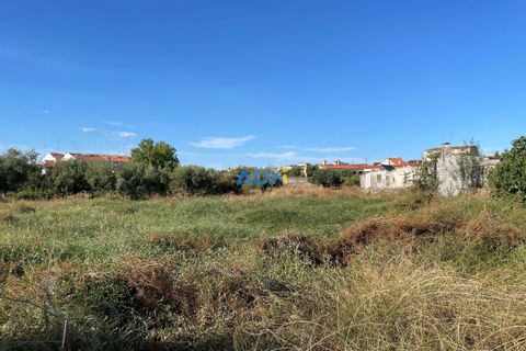 Terra a Alcains, Castelo Branco, Alcains - € 160.000 | Ref: 125126 - foto 19