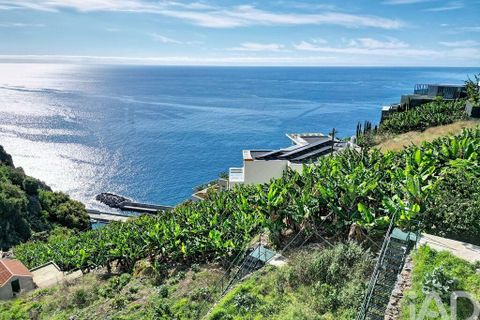 Helårsgrund i Calheta, Madeira, Calheta - € 385.000 | Ref: 738919 - foto 14