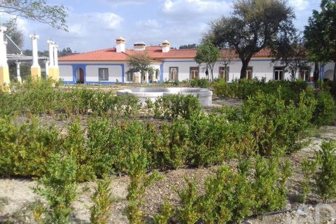 Farm i Almeirim, Santarem, Almeirim - € 2.250.000 | Ref: 756109 - foto 2