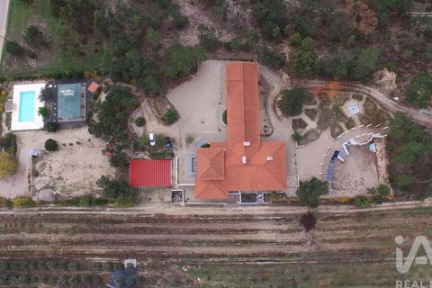 Farm i Almeirim, Santarem, Almeirim - € 2.250.000 | Ref: 756109 - foto 5