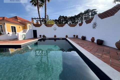 Farm i Carvalhal, Leiria, Carvalhal - € 1.750.000 | Ref: QUI_1434 - foto 3