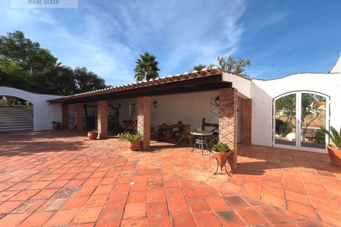 Farm i Carvalhal, Leiria, Carvalhal - € 1.750.000 | Ref: QUI_1434 - foto 6