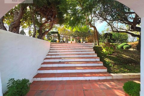 Farm i Carvalhal, Leiria, Carvalhal - € 1.750.000 | Ref: QUI_1434 - foto 9