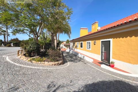 Farm i Carvalhal, Leiria, Carvalhal - € 1.750.000 | Ref: QUI_1434 - foto 12