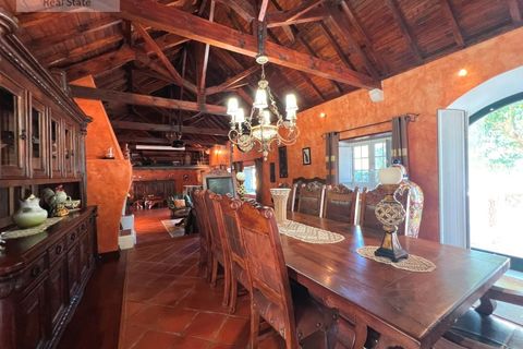 Farm i Carvalhal, Leiria, Carvalhal - € 1.750.000 | Ref: QUI_1434 - foto 29
