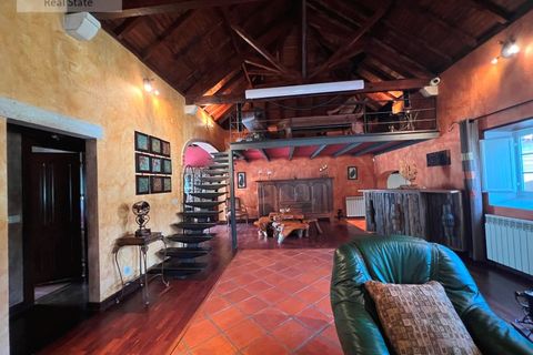 Farm i Carvalhal, Leiria, Carvalhal - € 1.750.000 | Ref: QUI_1434 - foto 36