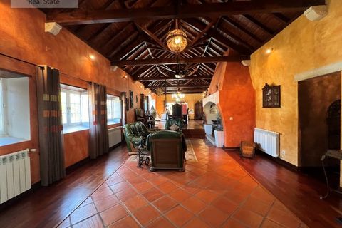 Farm i Carvalhal, Leiria, Carvalhal - € 1.750.000 | Ref: QUI_1434 - foto 47