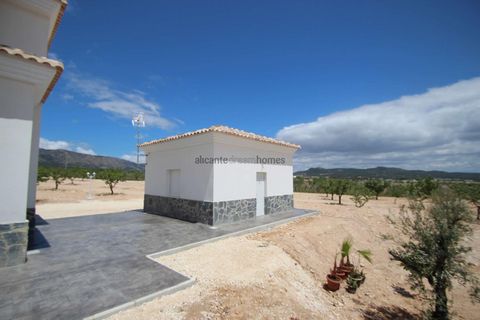 Villa i Pinoso, Alicante, Pinoso - € 375.000 | Ref: HL2008 - foto 4
