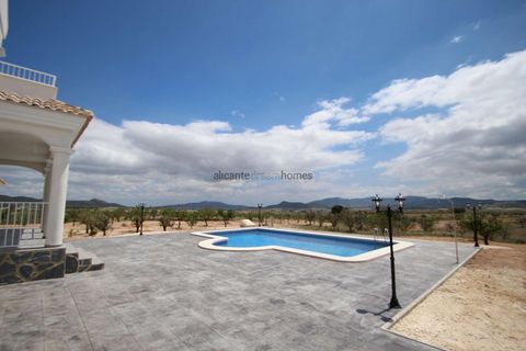 Villa i Pinoso, Alicante, Pinoso - € 375.000 | Ref: HL2008 - foto 6