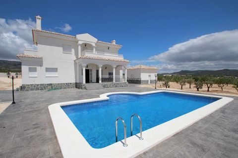 Villa i Pinoso, Alicante, Pinoso - € 375.000 | Ref: HL2008 - foto 7