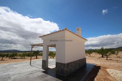 Villa i Pinoso, Alicante, Pinoso - € 375.000 | Ref: HL2008 - foto 14