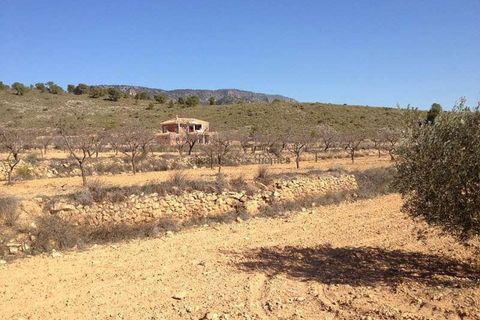 Villa i Pinoso, Alicante, Pinoso - € 375.000 | Ref: HL2008 - foto 18