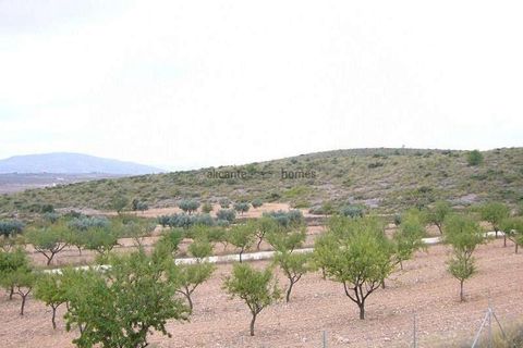 Villa i Pinoso, Alicante, Pinoso - € 375.000 | Ref: HL2008 - foto 19