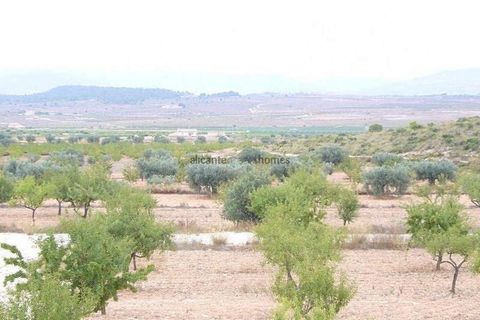 Villa i Pinoso, Alicante, Pinoso - € 375.000 | Ref: HL2008 - foto 22