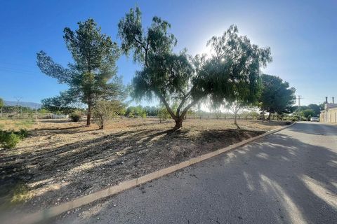 Terra a Ubeda, Alicante, Ubeda - € 40.000 | Ref: ELS9011 - foto 2