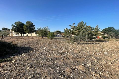 Terra a Ubeda, Alicante, Ubeda - € 40.000 | Ref: ELS9011 - foto 3