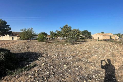 Terra a Ubeda, Alicante, Ubeda - € 40.000 | Ref: ELS9011 - foto 4