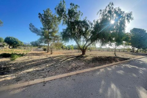 Terra a Ubeda, Alicante, Ubeda - € 40.000 | Ref: ELS9011 - foto 6