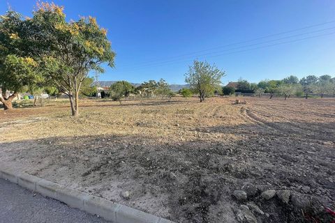 Terra a Ubeda, Alicante, Ubeda - € 40.000 | Ref: ELS9011 - foto 7
