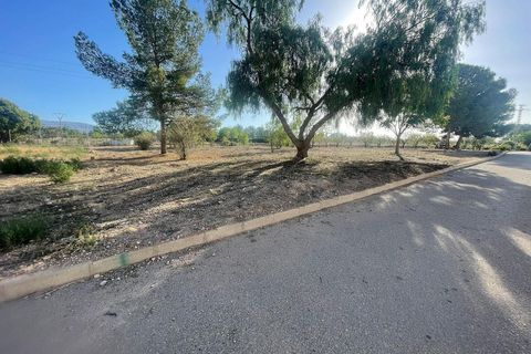 Terra a Ubeda, Alicante, Ubeda - € 40.000 | Ref: ELS9011 - foto 9
