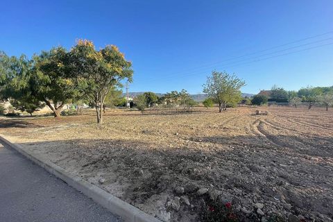 Terra a Ubeda, Alicante, Ubeda - € 40.000 | Ref: ELS9011 - foto 10