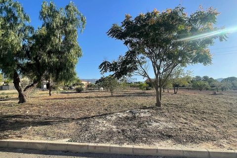 Terra a Ubeda, Alicante, Ubeda - € 40.000 | Ref: ELS9011 - foto 11