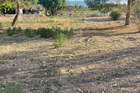 Terra a Ubeda, Alicante, Ubeda - € 40.000 | Ref: ELS9011 - foto 12
