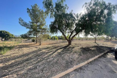 Terra a Ubeda, Alicante, Ubeda - € 40.000 | Ref: ELS9011 - foto 14