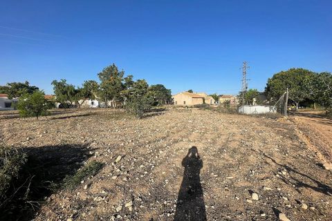 Terra a Ubeda, Alicante, Ubeda - € 40.000 | Ref: ELS9011 - foto 15