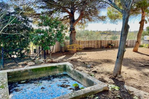 Villa i Mireval, Herault, Mireval - € 355.000 | Ref: 796-MILLIONCAB - foto 4