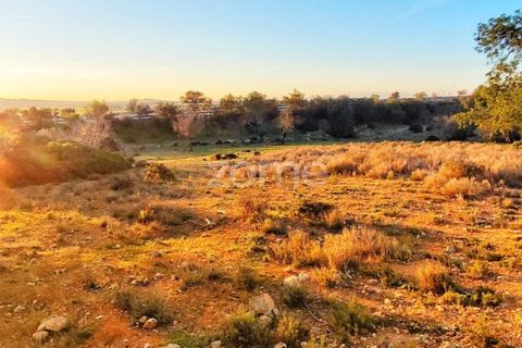 Helårsgrund i Silves, Faro, Silves - € 18.000 | Ref: ZMPT562690 - foto 15