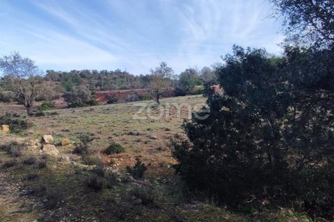 Helårsgrund i Silves, Faro, Silves - € 18.000 | Ref: ZMPT562690 - foto 3