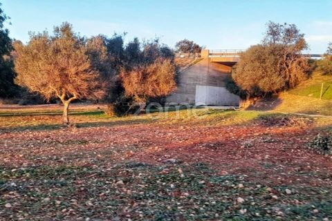 Helårsgrund i Silves, Faro, Silves - € 18.000 | Ref: ZMPT562690 - foto 7