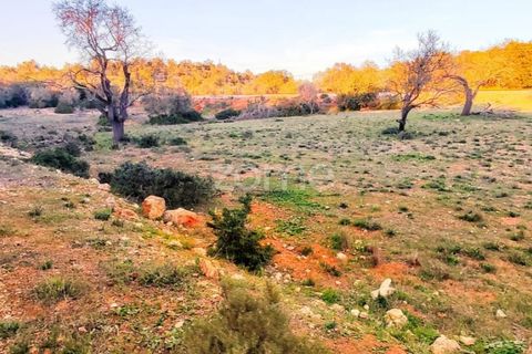 Helårsgrund i Silves, Faro, Silves - € 18.000 | Ref: ZMPT562690 - foto 8