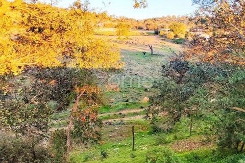Helårsgrund i Silves, Faro, Silves - € 18.000 | Ref: ZMPT562690 - foto 9