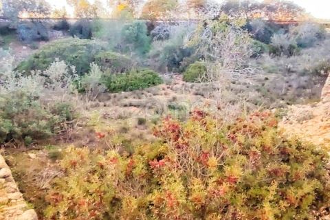 Helårsgrund i Silves, Faro, Silves - € 18.000 | Ref: ZMPT562690 - foto 10