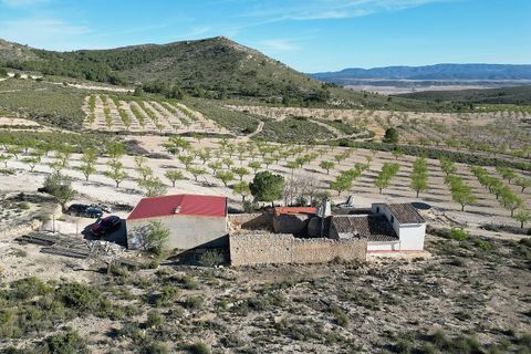Landejendom i Caudete, Albacete, Caudete - € 145.000 | Ref: IVD13738 - foto 20