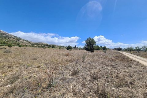 Terra a Sax, Alicante, Sax - € 39.995 | Ref: IVD13663 - foto 3