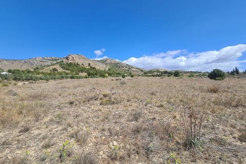 Terra a Sax, Alicante, Sax - € 39.995 | Ref: IVD13663 - foto 4