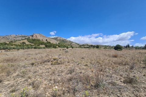 Terra a Sax, Alicante, Sax - € 39.995 | Ref: IVD13663 - foto 5