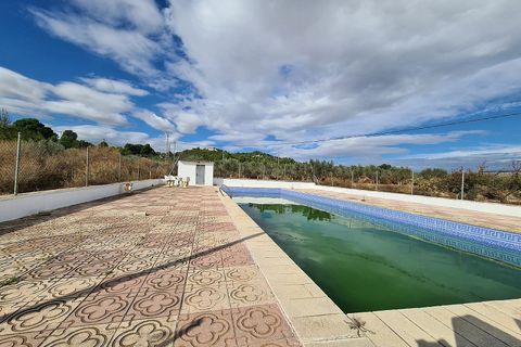Landejendom i Sax, Alicante, Sax - € 349.995 | Ref: IVO13593 - foto 6