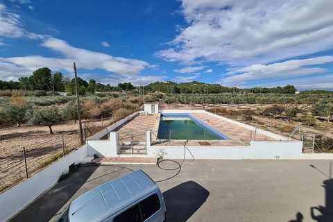 Landejendom i Sax, Alicante, Sax - € 349.995 | Ref: IVO13593 - foto 7