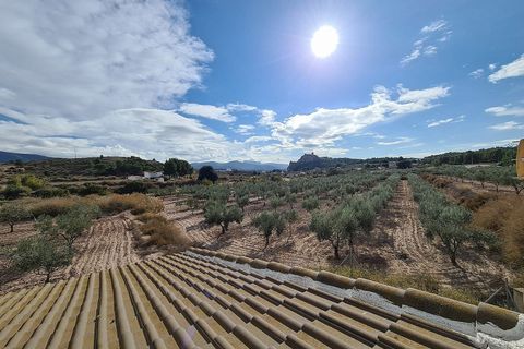 Landejendom i Sax, Alicante, Sax - € 349.995 | Ref: IVO13593 - foto 32