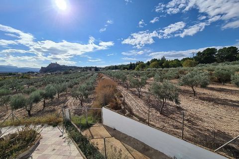 Landejendom i Sax, Alicante, Sax - € 349.995 | Ref: IVO13593 - foto 33