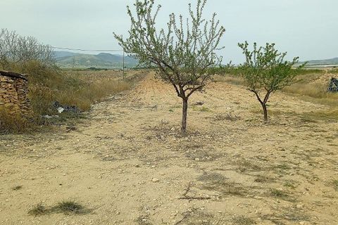 Helårsgrund i Monovar, Alicante, Monovar - € 50.000 | Ref: IVD13740 - foto 2
