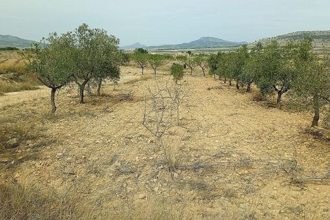 Helårsgrund i Monovar, Alicante, Monovar - € 50.000 | Ref: IVD13740 - foto 3