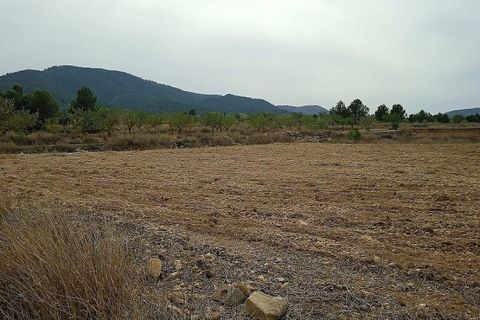 Terra a Monovar, Alicante, Monovar - € 65.000 | Ref: IVD13739 - foto 2